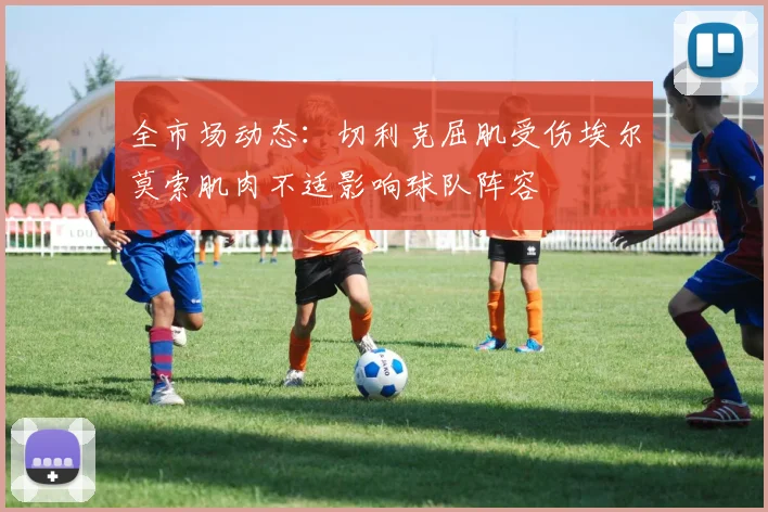 全市场动态：切利克屈肌受伤埃尔莫索肌肉不适影响球队阵容
